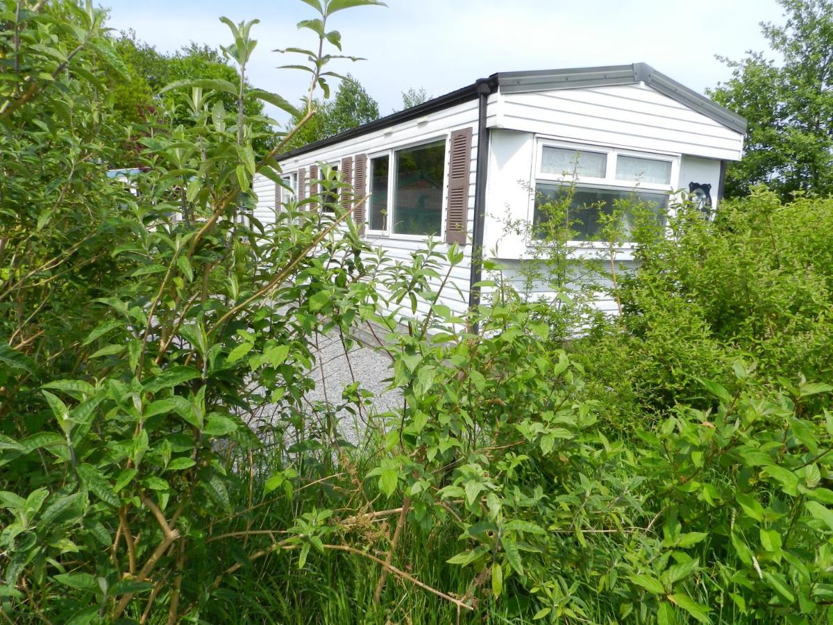 De Veenborg Kolham Exterior foto